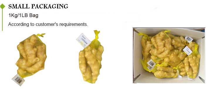Fresh Ginger 150g Packing In 5kg 6kg 7kg 8kg Pvc Box - China Wholesale ...