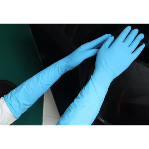Examination Gloves Elbow Length Surgical Gloves Price Long Cuff