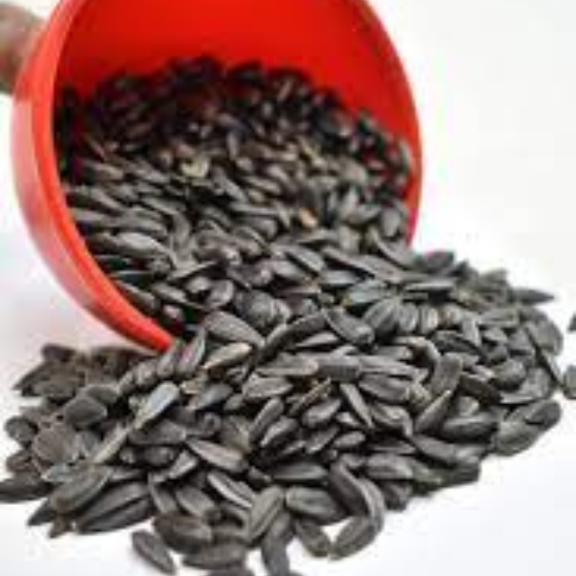 Buy Wholesale South Africa Wholesale Sunflower Seeds Kernel/sunflower