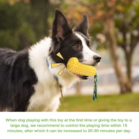 Interactive Plush Dog Soft fur Border Collie breed, Toys \ Interactive  pets