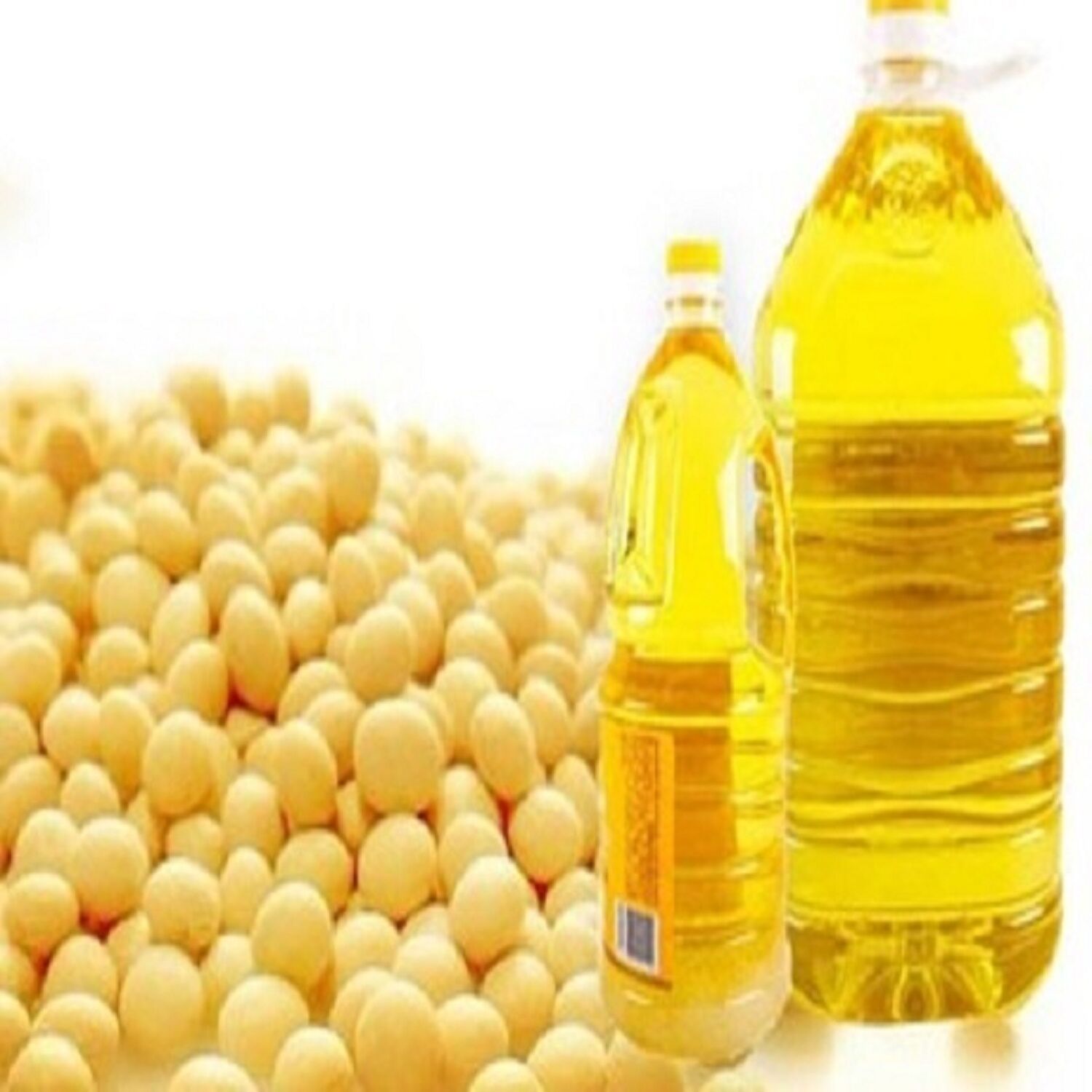 Buy Wholesale Czech Republic Non Gmo Soybean Oil Best Selling Nutrition