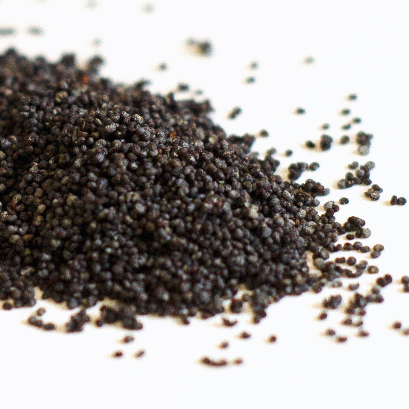 Buy Wholesale Canada High Quality Unwashed Blue Poppy Seeds And Poppy