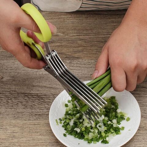 Buy Wholesale China Herb Scissors Set With 5 Blades And Cover -  Multipurpose Kitchen Chopping Shear Kitchen Gadge & Kitchen Scissors at USD  1.76