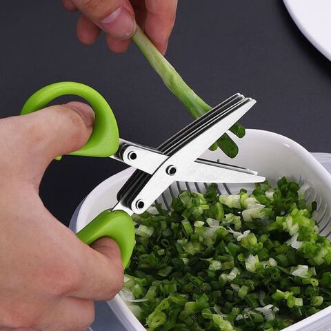 Herb Scissors Set, Kitchen Scissors with 5 Blades and Cover, Multipurpose  Cutting Kitchen Herb Shears with Safety Cover and Cleaning Comb for Cutting