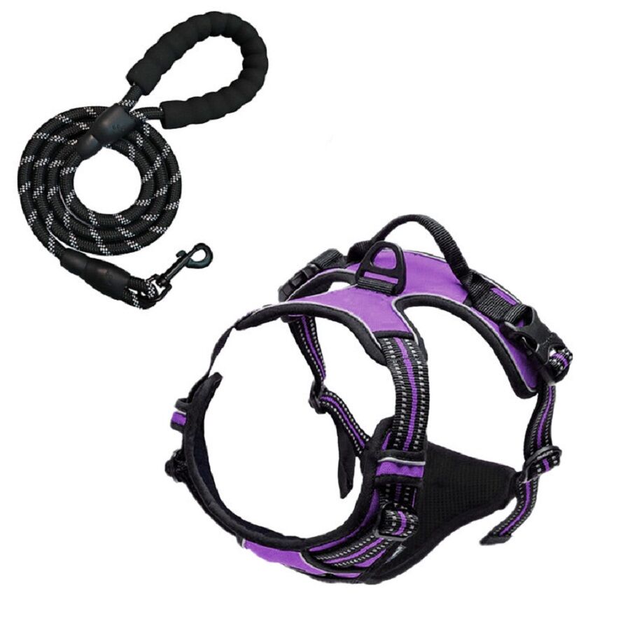 Buy Wholesale China Wholesale Pet Suppliers Pet Harness Set Adjustable