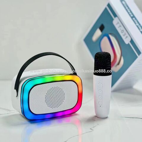 Haut-parleur personnalisé karaoké haut-parleur Bluetooth haut-parleur karaoké  avec micro haut-parleur portable karaoké grossiste