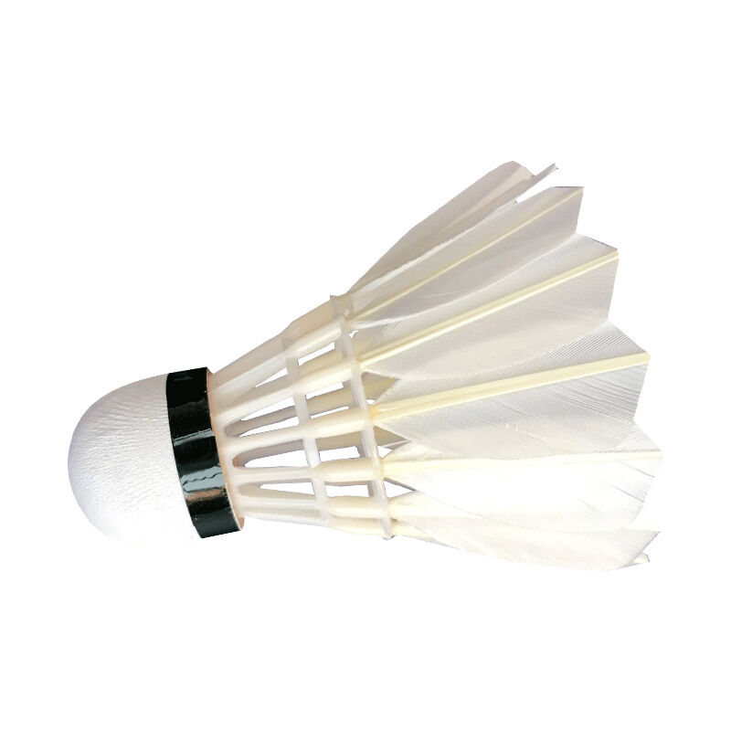 Achetez 12pcs Badminton Balles en Plastique Plume Navette Accessoire  Sportif Extérieur de Chine