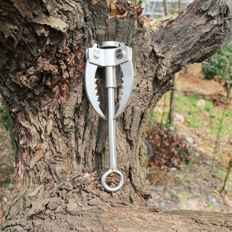 Bulk Buy China Wholesale Jetshark Outdoor Survival Gravity Rock ...