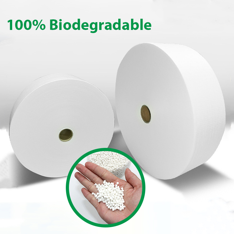 Buy Wholesale China Biodegradable Pla Spunbonded/spunlace Nonwoven Fabric  For Disposable Hotel Slippers Baby Diapers & Pla Nonwoven Fabric For Hotel  Slippers at USD 6.8