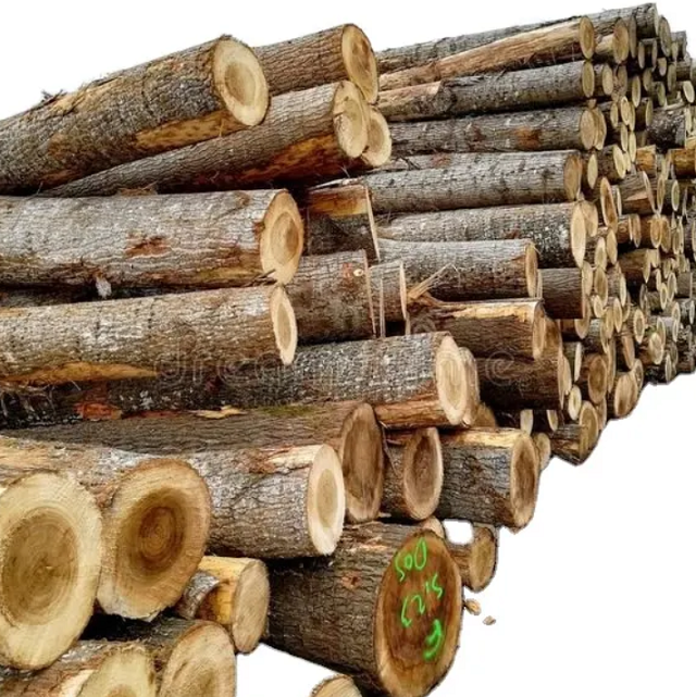 Buy Wholesale Turkey Fsc Oak Veneer Logs, 50+ Cm Diameter & Fsc Oak