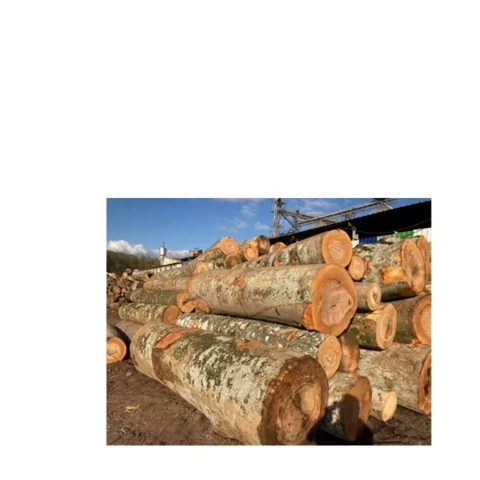 Buy Wholesale Turkey Walnut/ Cherry/ Ash Saw Logs, 30+ Cm u0026 Walnut/ Cherry/  Ash Saw Logs, 30+ Cm at USD 320 | Global Sources