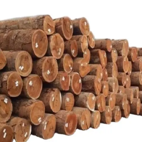 good quality 2x4 lumber price poplar