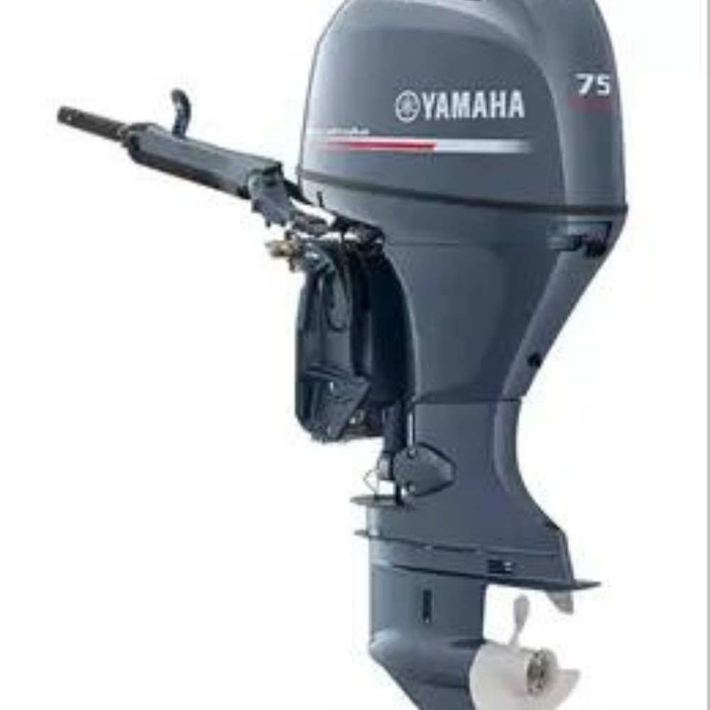 Buy Wholesale South Africa Seawalker Outboard Water Jet Drive Pump With