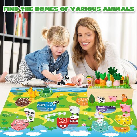  Bloranda Juguetes Montessori para niñas de 1 año, juguetes para  niñas de 2 años  Juguetes de madera de granja regalos para bebés, juego de  habilidades motoras finas para niños pequeños