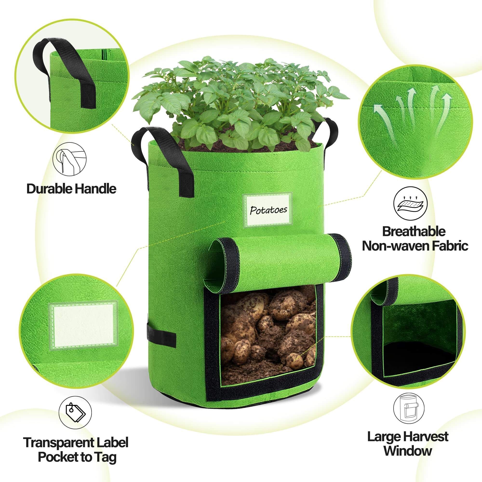 Buy Wholesale China Grow Bags With Handles Non-woven Fabric Pots For  Flower/ Tomato Planting Vegetable Growing Outdoor & Plant Grow Bags,grow  Bags at USD 1.75