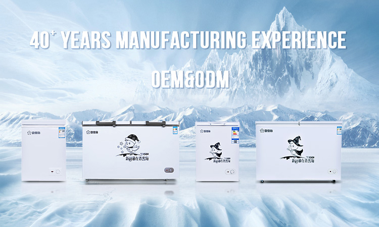 Deep Freezer In Cold Chain Bd-158 Ce Cb Top Open Single Door Deep Chest Electric Freezers With ...