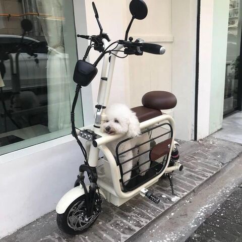 2023 Mobility Pet Storage Electric Scooter Folding E Bike Pet