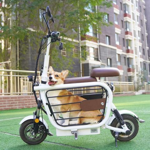 2023 Mobility Pet Storage Electric Scooter Folding E Bike Pet