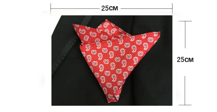 mens neck tie set