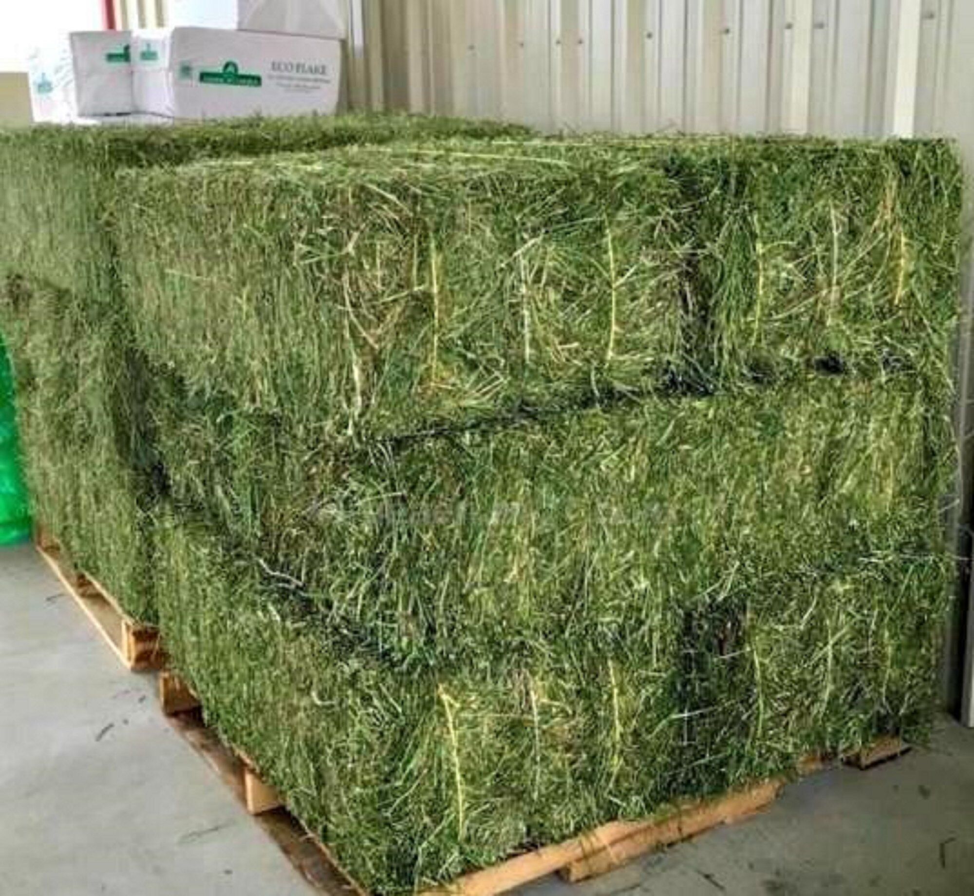 Alfalfa Hay Price Per Ton 2024 Buy Wholesale United States Alfalfa Hay At Very Cheap Price / Quality