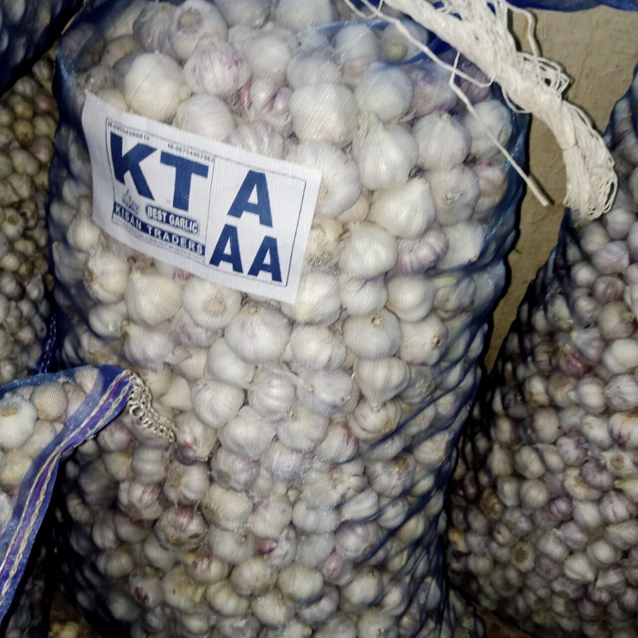 Buy Wholesale India Fresh Garlic New Crop 202223 Supply Garlic Normal