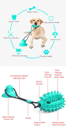 Pet Toys with Suction Cup Dog Push Toy with TPR Ball Pet Tooth Cleaning  Chewing Rubber Dog Toys for Small Dogs Rubber Dog Toy - Price history &  Review