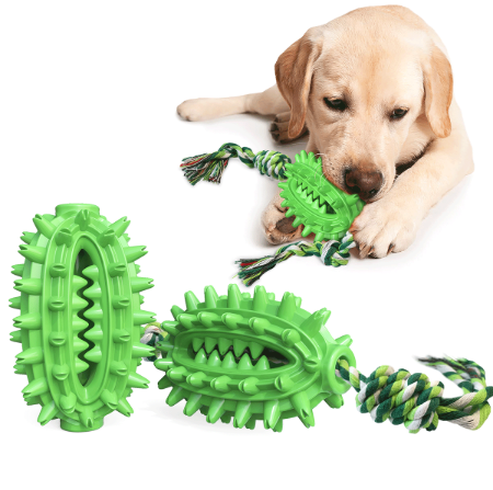 Pet Dog Toothbrush Chew Toys, Upgraded Treasure Chest Sounding Toy, Dental  Care Tooth Cleaning, Safe Dog Squeak Toy, Food Grade Natural Rubber Chewer  Wbb12786 - China Dog Chew Toys for Aggressive Chewers