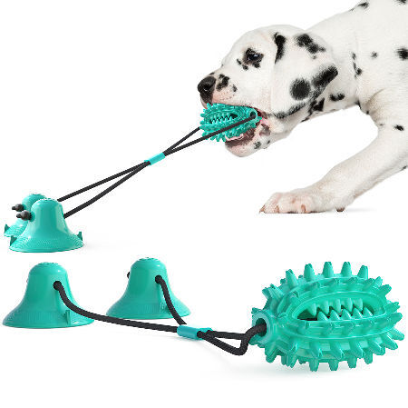 Pet Toys with Suction Cup Dog Push Toy with TPR Ball Pet Tooth Cleaning  Chewing Rubber Dog Toys for Small Dogs Rubber Dog Toy - Price history &  Review