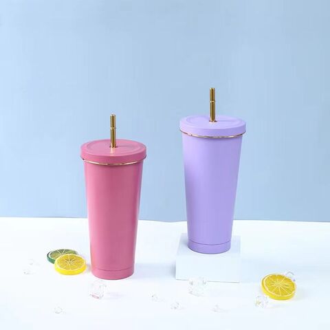 750ml Stainless Steel Tumbler with Lid & Straw Vacuum Insulated