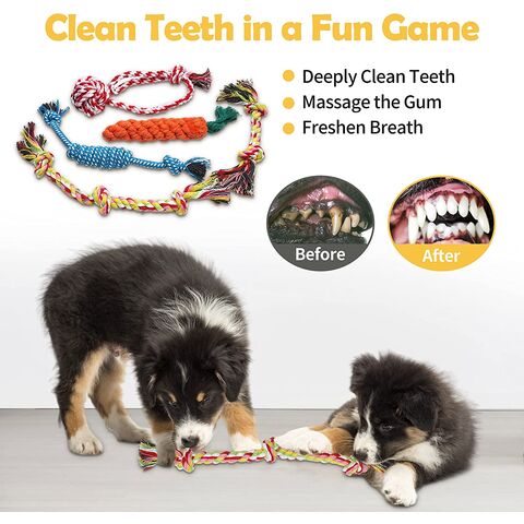 https://p.globalsources.com/IMAGES/PDT/B5814345168/Pet-chew-toys.jpg