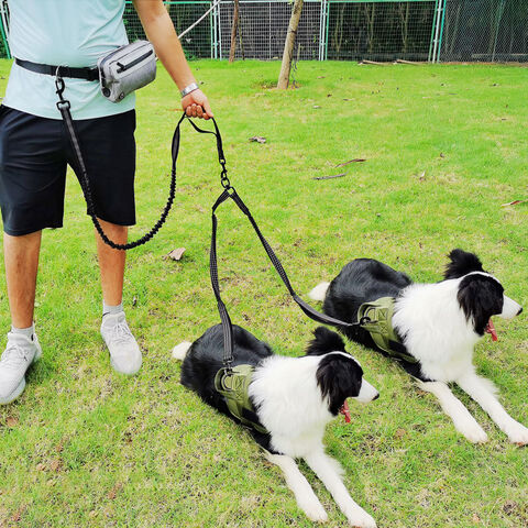 La correa con luces LED para pasear al perro con manos libres y