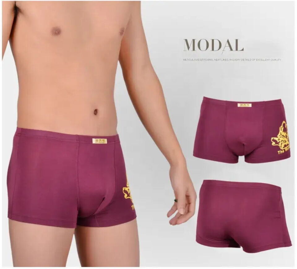 New Modal Brand Men's Underwear Mid-waist Breathable Homme Cuecas