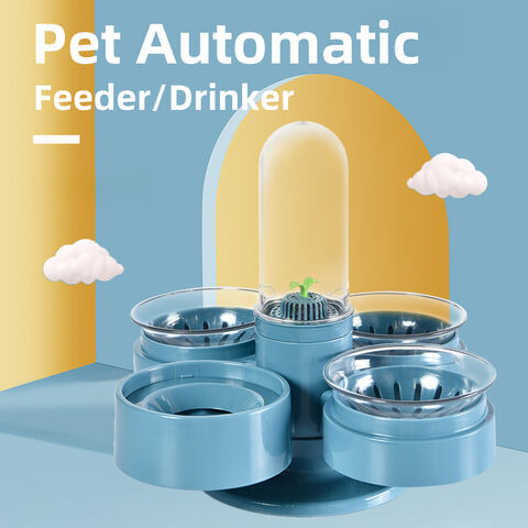 Buy Wholesale China Dog Bowl, Singe Cute Transparent Plastic Acrylic Elevated  Pet Cat Dog Water Food Bowl & Dog Bowl at USD 0.76