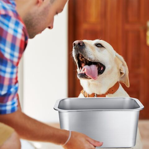 Buy Wholesale China Popular 2 Pcs Extra Large Dog Water Bowl 2.7 Gallon  Stainless Steel Dog Bowls High Capacity Metal Dog Food Bowls & Dog Bowl at  USD 5.69