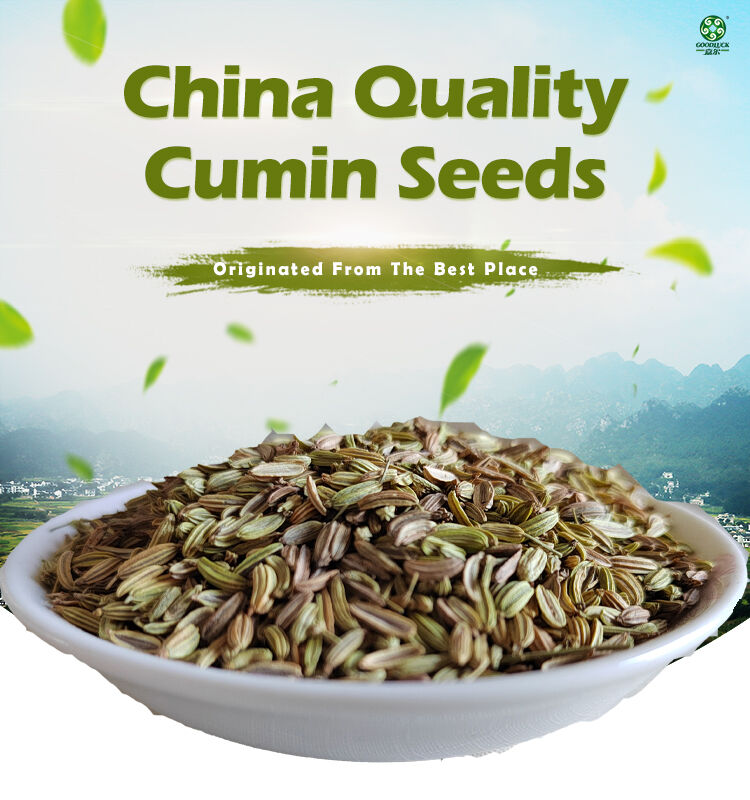 China Manufacture Wholesale Price Quality Cumin Seeds For Sale 2023 ...