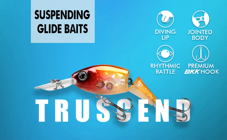 TRUSCEND Fishing Lures for Bass Trout, Diving Lip Design