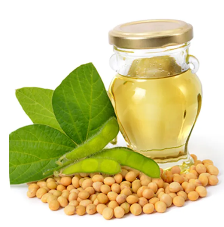 Buy Wholesale Czech Republic Refined Soy Bean Oil 100 Refined Soybean