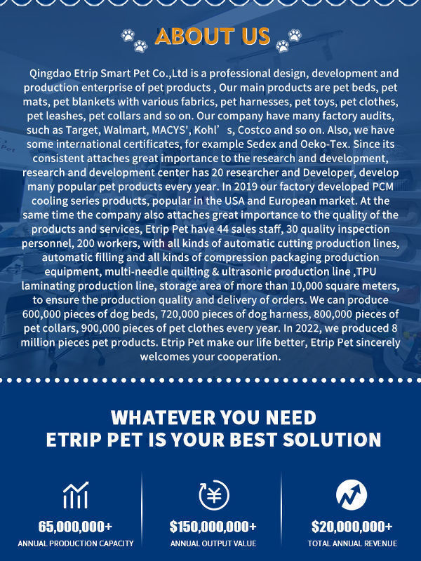 Buy Wholesale China Pet Raincoat Yellow Duck Small Bee Pet Poncho & Dog