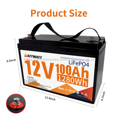 Buy Wholesale China 12v 100ah Lithium Lifepo4 Deep Cycle Battery, Built-in 100a  Bms, 4000+ Cycles, 10-year Lifetime & Battery at USD 26