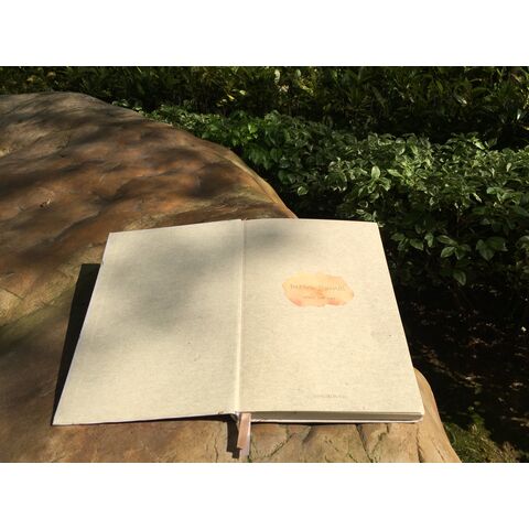 Caderno Journal Botânico Bege - Caderno A5 de Capa Dura Pontilhado, Bullet Journal com 2 Marcadores de Fita e Elástico