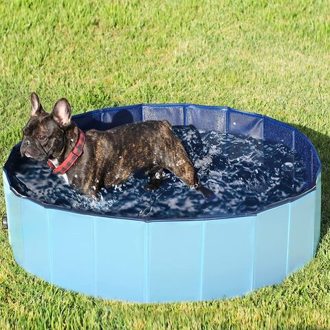 Comprar Piscina plegable para perros, bañera para mascotas, piscina de  baño, limpiador de PVC, bañera para perros, bañera para gatos, piscina  portátil plegable para mascotas, cuidado de perros, bañera para jugar al