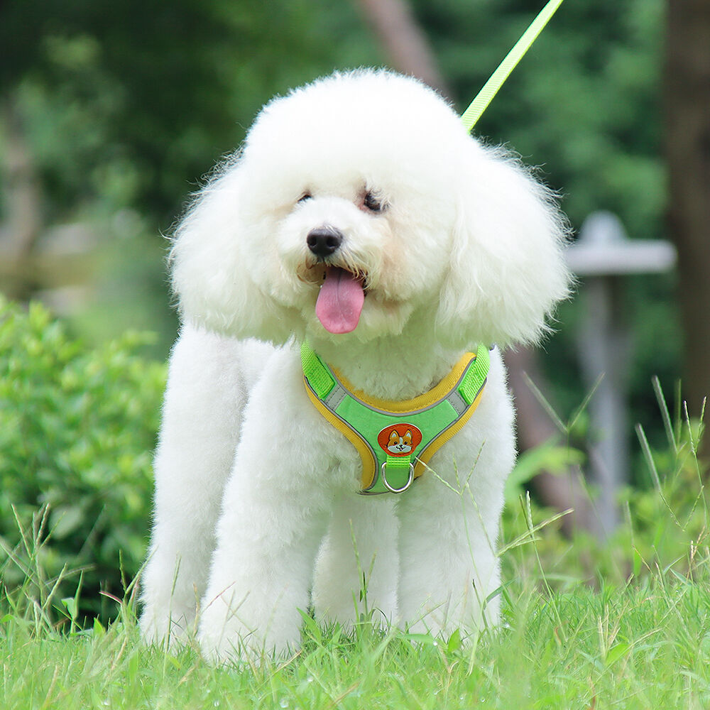 Buy Wholesale China Manufacturer Wholesale High Quality Dog Harness