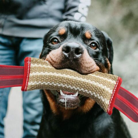 Buy Wholesale China Wholesale Dog Tug Toy Dog Training Bite Pillow Jute  Bite Toy - Best For Tug Of War, Puppy Training Interactive Play & Pet  Training Toys at USD 1.57