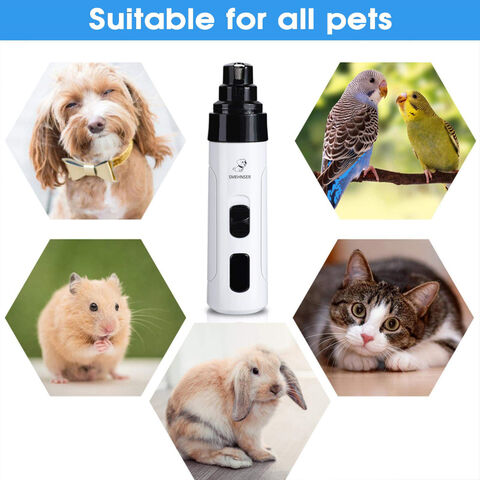 Kit de tondeuse à chat pour chien de compagnie rechargeable par USB propreté