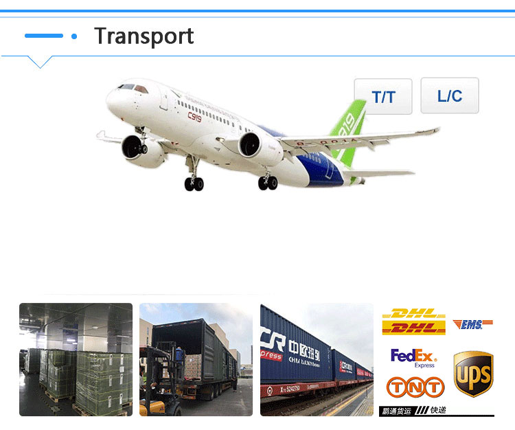 Vormor X5pro Portable Language Learning Device Translation Device ...