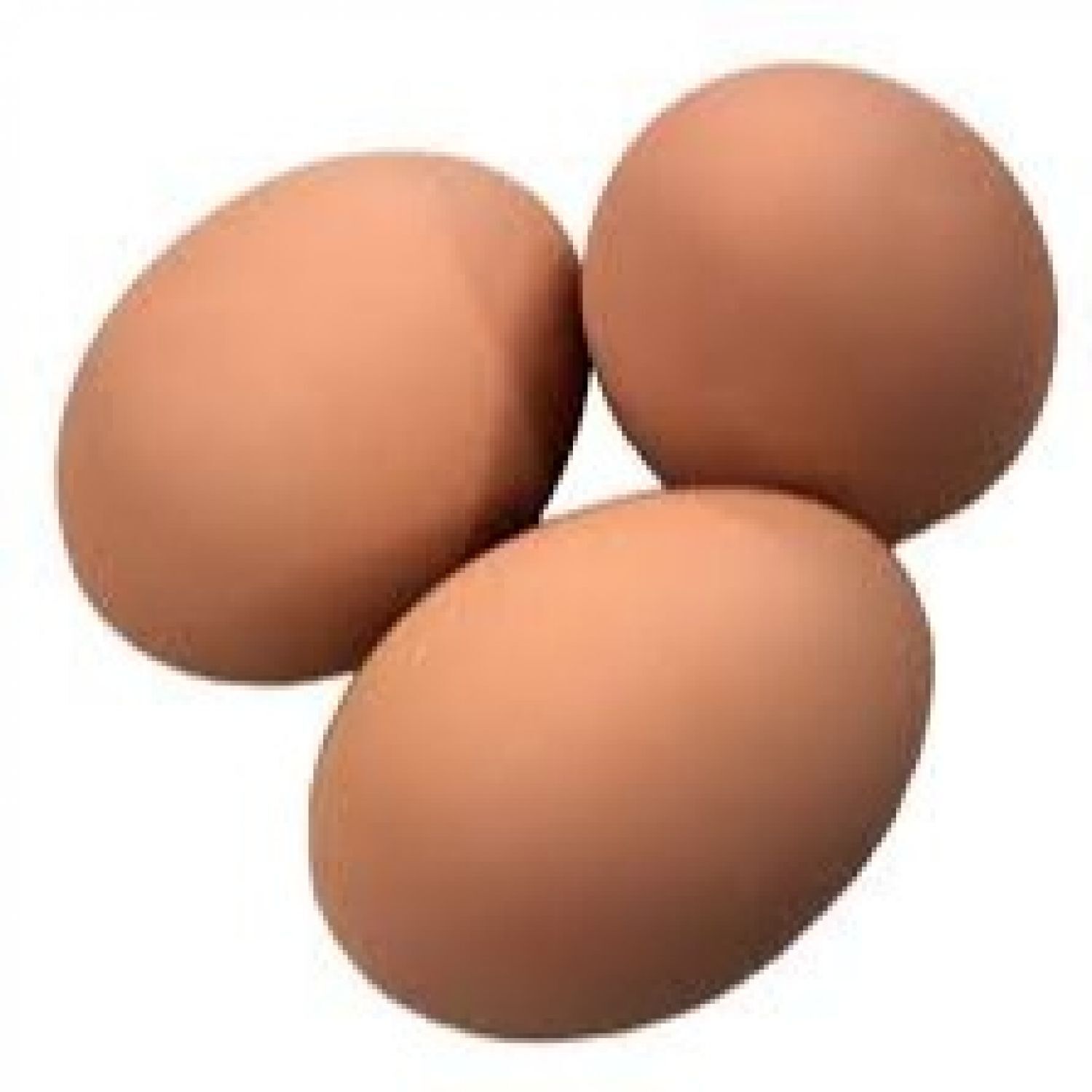 Fertilized Chicken Eggs/ Cobb 500 Broiler Chicken Eggs/fresh Cobb 700