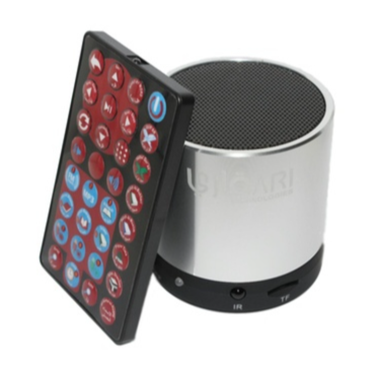 Buy SQ-200 Quran Speaker Portable Quran Speaker MP3 Player 8GB TF FM Golden Online | Carrefour UAE - View #12