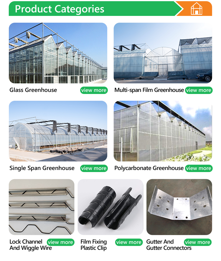 Film Lock Wiggle Wire Agricultural Greenhouse China Manufacturer