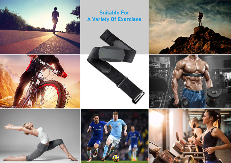 Buy Standard Quality China Wholesale Heart Rate Sensor Chest Strap