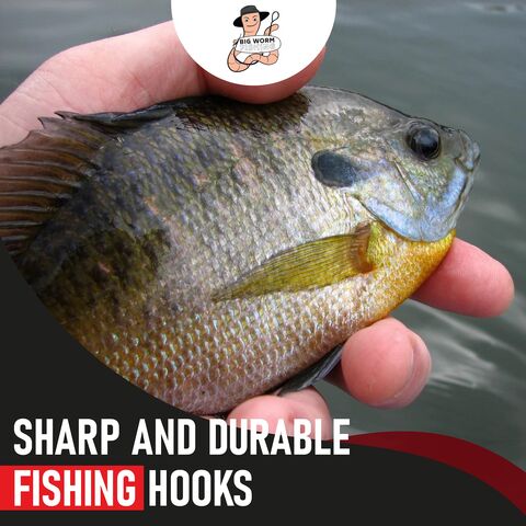 Buy Wholesale China Freshwater Assortment Small Fishing Panfish Bass Trout  Bluegill Fishing Hooks & Fishing Hook at USD 0.03